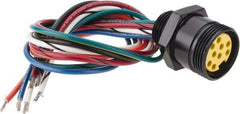 Brad Harrison - 7 Amp, Female Straight Receptacle - 600 VAC/VDC, 0.31m Cable Length, IP67 Ingress Rating - Exact Industrial Supply