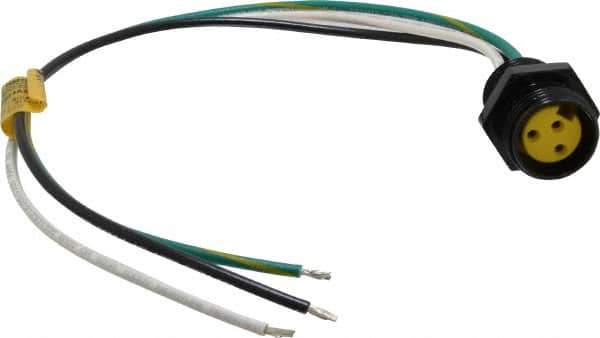 Brad Harrison - 13 Amp, Female Straight Receptacle - 600 VAC/VDC, 0.31m Cable Length, IP67 Ingress Rating - Exact Industrial Supply