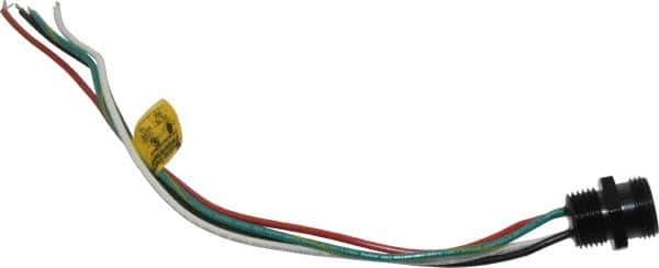 Brad Harrison - 10 Amp, Male Straight Receptacle - 600 VAC/VDC, 0.31m Cable Length, IP67 Ingress Rating - Exact Industrial Supply