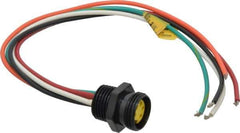 Brad Harrison - 8 Amp, Female Straight Receptacle - 600 VAC/VDC, 0.31m Cable Length, IP67 Ingress Rating - Exact Industrial Supply