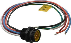 Brad Harrison - 8 Amp, Male Straight Receptacle - 600 VAC/VDC, 0.31m Cable Length, IP67 Ingress Rating - Exact Industrial Supply