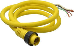 Brad Harrison - 15 Amp, Male Cordset Sensor and Receptacle - IP68 Ingress Rating - Exact Industrial Supply