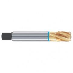 1/16-27 Dia. - 4 FL - Cobalt Spiral Flute Blue Ring Tap-TiN-25 Degree Helix - Exact Industrial Supply