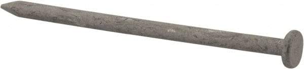 Value Collection - 8D, 10 Gauge, 2-1/2" OAL Common Nails - Ring Shank, Grade 2 Steel, Galvanized Finish - Exact Industrial Supply