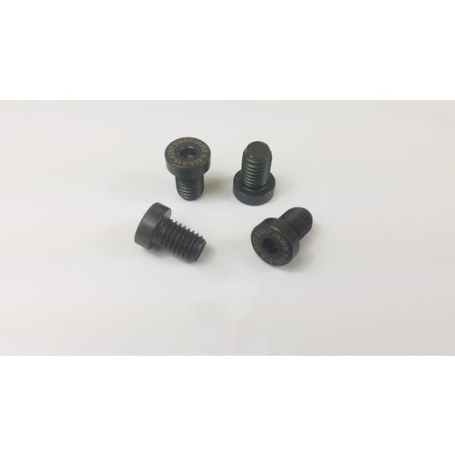 6″ Mount Screws 4 Pc. Per Pack - Exact Industrial Supply