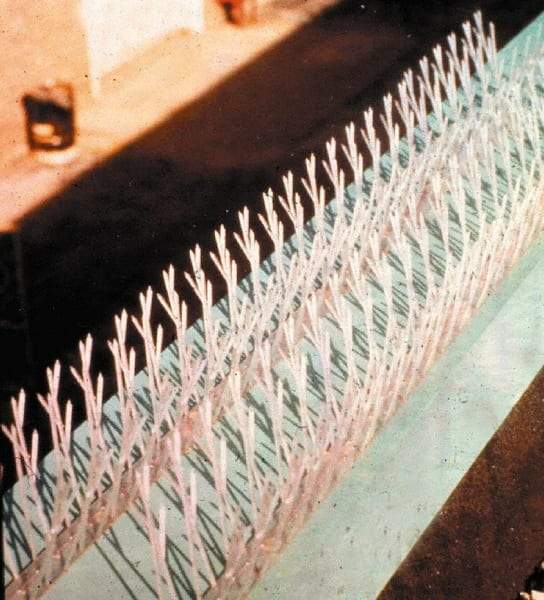 Bird-X - Plastic Bird Spikes - 4-1/2 Inch High x 4-1/2 Inch Wide x 25 Ft. Long x 1 Inch Thick - Exact Industrial Supply