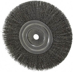 Weiler - 8" OD, 5/8" Arbor Hole, Crimped Steel Wheel Brush - 1/2" Face Width, 2-1/16" Trim Length, 0.0118" Filament Diam, 6,000 RPM - Exact Industrial Supply