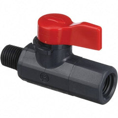 Asahi/America - 1/4" Pipe, Full Port, PVC Ball Valve - 1 Piece, MNPT x FNPT Ends, Tee Handle, 150 WOG - Exact Industrial Supply