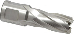 Hougen - 5/8" Diam x 1" Deep High Speed Steel Annular Cutter - Exact Industrial Supply