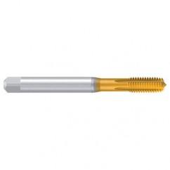 8–32 UNC–2B REK.1DR-OLN/E TiN Thread Forming Tap - Exact Industrial Supply