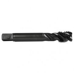 M10X1.0 3FL 6H CO SPFL S-BOTT-S/O - Exact Industrial Supply