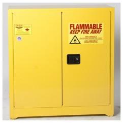 30 GALLON STANDARD SAFETY CABINET - Exact Industrial Supply