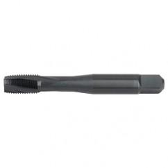 GT945038 NO. 4-40 H3 3FL RHSF BOTHS - Exact Industrial Supply