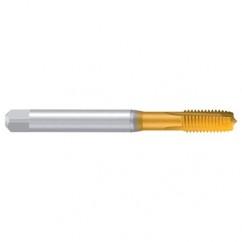 M10–6H REK.A-H/E TiN Straight Flute Tap - Exact Industrial Supply