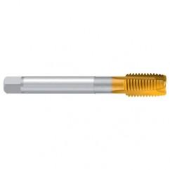 M24–6H REK.A-H/E TiN Straight Flute Tap - Exact Industrial Supply