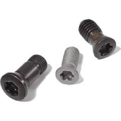 Clamp Screw for Indexables: T20IP, Torx Plus Drive, M2.6 Thread
