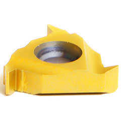 16 IR 2 SAGE MXC THREADING INSERT - Exact Industrial Supply