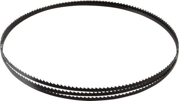 Starrett - 6 TPI, 6' 8" Long x 1/4" Wide x 0.025" Thick, Welded Band Saw Blade - Carbon Steel, Toothed Edge, Raker Tooth Set, Flexible Back, Contour Cutting - Exact Industrial Supply