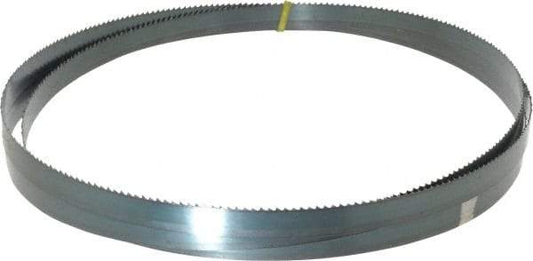 Starrett - 6 TPI, 10' Long x 3/4" Wide x 0.032" Thick, Welded Band Saw Blade - Carbon Steel, Toothed Edge, Raker Tooth Set, Flexible Back, Contour Cutting - Exact Industrial Supply