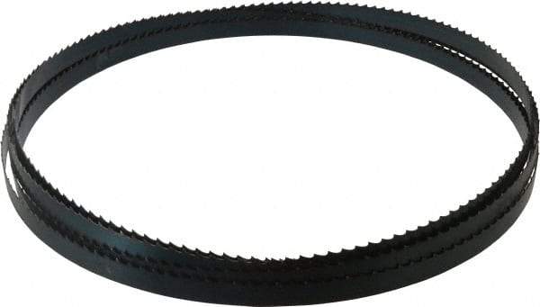 Starrett - 3 TPI, 19' 8" Long x 3/4" Wide x 0.032" Thick, Welded Band Saw Blade - Carbon Steel, Toothed Edge, Raker Tooth Set, Flexible Back, Contour Cutting - Exact Industrial Supply