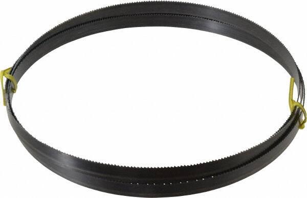 Starrett - 10 TPI, 8' 2-1/2" Long x 5/8" Wide x 0.032" Thick, Welded Band Saw Blade - Carbon Steel, Toothed Edge, Raker Tooth Set, Flexible Back, Contour Cutting - Exact Industrial Supply