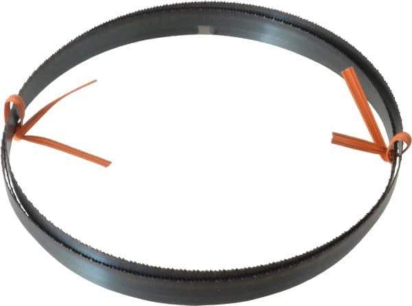 Disston - 14 TPI, 6' 8" Long x 1/2" Wide x 0.025" Thick, Welded Band Saw Blade - Carbon Steel, Toothed Edge, Raker Tooth Set, Flexible Back, Contour Cutting - Exact Industrial Supply