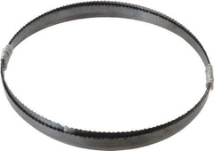 Disston - 6 TPI, 6' 9" Long x 1/2" Wide x 0.025" Thick, Welded Band Saw Blade - Carbon Steel, Toothed Edge, Raker Tooth Set, Flexible Back, Contour Cutting - Exact Industrial Supply