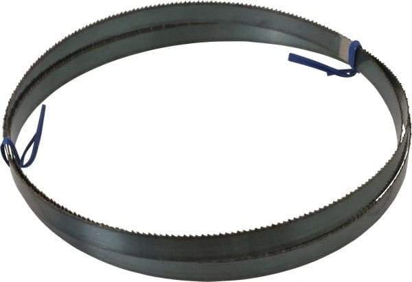 Disston - 8 TPI, 7' 9" Long x 3/4" Wide x 0.032" Thick, Welded Band Saw Blade - Carbon Steel, Toothed Edge, Raker Tooth Set, Flexible Back, Contour Cutting - Exact Industrial Supply