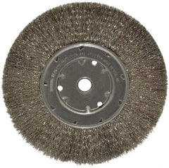Anderson - 8" OD, 5/8" Arbor Hole, Crimped Stainless Steel Wheel Brush - 1/2" Face Width, 1-13/16" Trim Length, 0.0104" Filament Diam, 4,500 RPM - Exact Industrial Supply