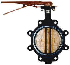 Legend Valve - 5" Pipe, Lug Butterfly Valve - Gear Handle, Cast Iron Body, Buna-N Seat, 200 WOG, Aluminum Bronze Disc, Stainless Steel Stem - Exact Industrial Supply