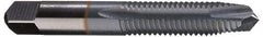 Cleveland - M3x0.50, 2 Flute, TiN Finish, High Speed Steel Spiral Point Tap - Plug Chamfer, Right Hand Thread, 0.31" Thread Length, 2B Class of Fit, Series 1011TN - Exact Industrial Supply