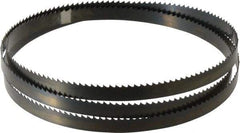 Disston - 6 TPI, 5' 4-1/2" Long x 1/2" Wide x 0.025" Thick, Welded Band Saw Blade - Carbon Steel, Toothed Edge, Raker Tooth Set, Hard Back, Contour Cutting - Exact Industrial Supply