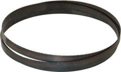 Disston - 14 TPI, 5' 4-1/2" Long x 1/2" Wide x 0.025" Thick, Welded Band Saw Blade - Carbon Steel, Toothed Edge, Raker Tooth Set, Hard Back, Contour Cutting - Exact Industrial Supply
