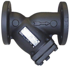 Legend Valve - 2-1/2" Pipe, Flanged Ends, Cast Iron Y-Strainer - 200 psi WOG Rating, 150 psi WSP Rating - Exact Industrial Supply