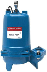 Goulds Pumps - 1/2 hp, 115 Amp Rating, 115 Volts, Nonautomatic Operation, Sewage Pump - 1 Phase, Cast Iron Housing - Exact Industrial Supply