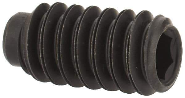 Value Collection - #10-24 UNC, 3/8" OAL, Half Dog Point Set Screw - Grade 8 Alloy Steel, 3/32" Key - Exact Industrial Supply