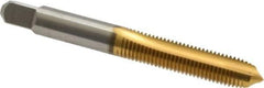 Cleveland - 5/16-24 UNF, 2 Flute, TiN Finish, High Speed Steel Spiral Point Tap - Plug Chamfer, Right Hand Thread, 2-23/32" OAL, 0.69" Thread Length, 3B Class of Fit, Series 1011TN - Exact Industrial Supply