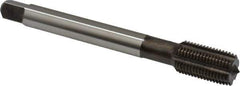 Emuge - 1/2-20 UNF 2BX Modified Bottoming Thread Forming Tap - Cobalt, Nitride Finish, 3.937" OAL, 0.866" Thread Length, Right Hand Thread, Series Rekord Druck-S - Exact Industrial Supply