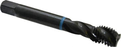 Emuge - 5/8-11 UNC 3 Flute 2B Modified Bottoming Spiral Flute Tap - Cobalt, Oxide Finish, 4.331" OAL, Right Hand Flute, Right Hand Thread, Series Enorm-VA - Exact Industrial Supply