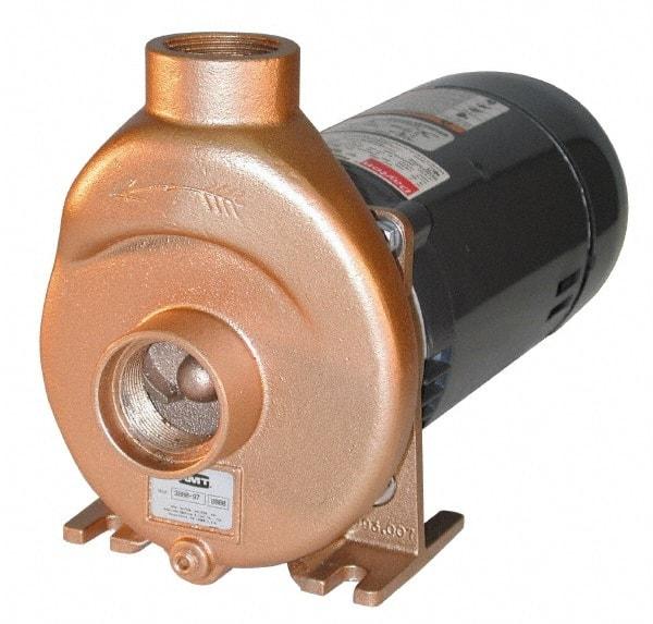 American Machine & Tool - 115/230 Volt, 13/ 7 Amp, 1 Phase, 3/4 HP, Self Priming Spa and Pool Pump - 56J Frame, 1-1/2 Inch Inlet, ODP Motor, Bronze Housing and Impeller, Buna N Seal - Exact Industrial Supply