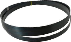 Starrett - 6 TPI, 10' 8" Long x 1" Wide x 0.035" Thick, Welded Band Saw Blade - Carbon Steel, Toothed Edge, Raker Tooth Set, Flexible Back, Contour Cutting - Exact Industrial Supply