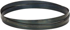 Starrett - 10 TPI, 10' 8" Long x 1" Wide x 0.035" Thick, Welded Band Saw Blade - Carbon Steel, Toothed Edge, Raker Tooth Set, Flexible Back, Contour Cutting - Exact Industrial Supply