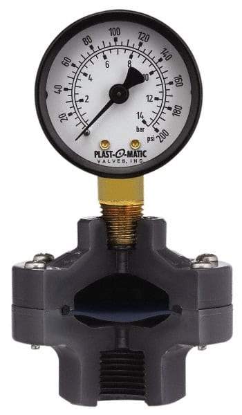 Plast-O-Matic - 160 Max psi, 2 Inch Dial Diameter, PVC Pressure Gauge Guard and Isolator - 3% Accuracy - Exact Industrial Supply