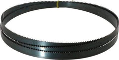 Starrett - 6 TPI, 9' Long x 3/4" Wide x 0.032" Thick, Welded Band Saw Blade - Carbon Steel, Toothed Edge, Raker Tooth Set, Flexible Back, Contour Cutting - Exact Industrial Supply