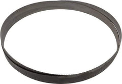 Starrett - 10 to 14 TPI, 12' Long x 1" Wide x 0.035" Thick, Welded Band Saw Blade - Bi-Metal, Toothed Edge, Raker Tooth Set, Contour Cutting - Exact Industrial Supply