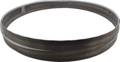 Starrett - 6 to 10 TPI, 14' 6" Long x 1-1/4" Wide x 0.042" Thick, Welded Band Saw Blade - Bi-Metal, Toothed Edge, Raker Tooth Set, Contour Cutting - Exact Industrial Supply