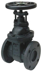 Legend Valve - 2-1/2" Pipe, Class 125, Flanged Cast Iron Solid Wedge OS & Y Gate Valve - 200 WOG, 125 WSP, Bolted Bonnet - Exact Industrial Supply