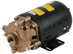 Pentair - 208-230/460 Volt, 3/4 hp, 1-1/4 Inlet, 72 GPM Bronze Utility Pump - 55 Max Head Pressure, 1 Inch Outlet - Exact Industrial Supply