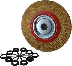 Value Collection - 10" OD, 1-1/4" Arbor Hole, Crimped Brass-Coated Steel Wheel Brush - 1" Face Width, 1-15/32" Trim Length, 0.012" Filament Diam, 3,000 RPM - Exact Industrial Supply