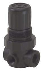 Norgren - 1/4 NPT 5 - 125 psi Miniature Plastic Regulator - Exact Industrial Supply